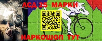 мет Можга