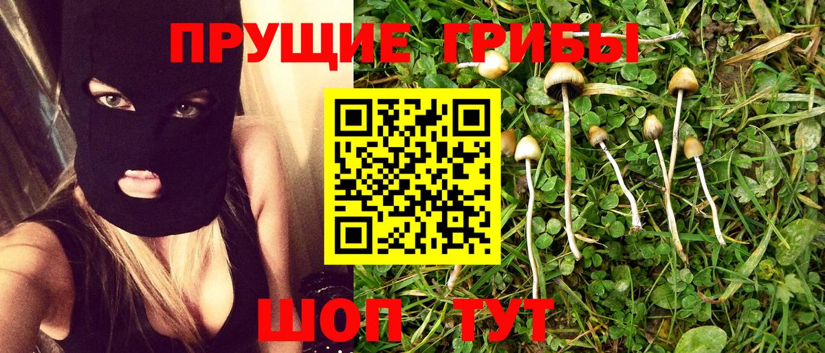 Псилоцибиновые грибы MAGIC MUSHROOMS Вышний Волочёк